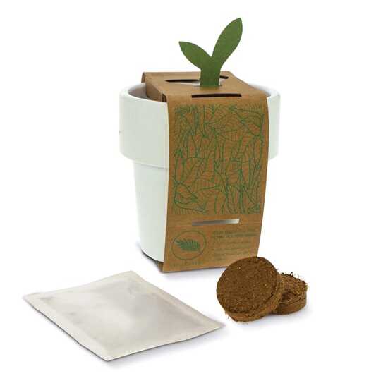 Hot-but-cool Tasse mit Basilikum