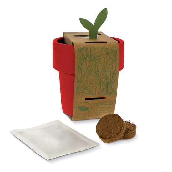Hot-but-cool Tasse mit Basilikum