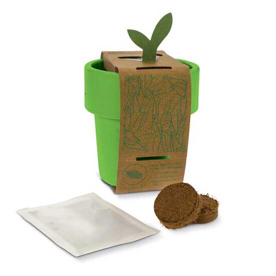 Hot-but-cool Tasse mit Basilikum