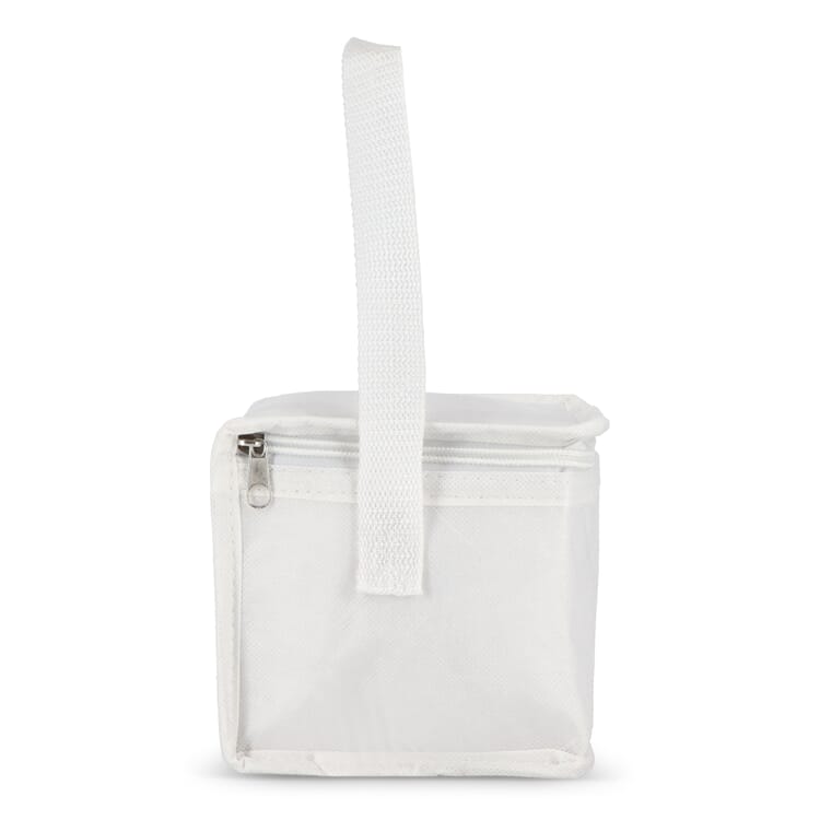 R-PET 6 Dosen-Kühltasche Non Woven 20x 13 x 12,5cm 75g/m²