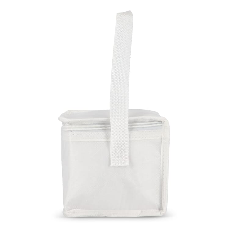 R-PET 6 Dosen-Kühltasche Non Woven 20x 13 x 12,5cm 75g/m²