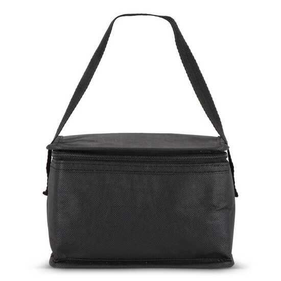 R-PET 6 Dosen-Kühltasche Non Woven 20x 13 x 12,5cm 75g/m²