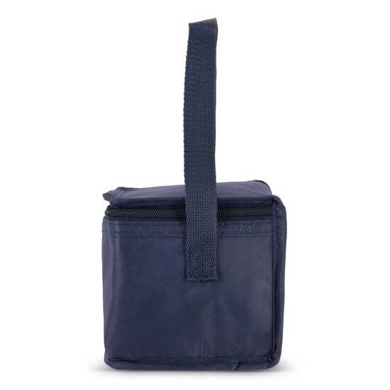 R-PET 6 Dosen-Kühltasche Non Woven 20x 13 x 12,5cm 75g/m²