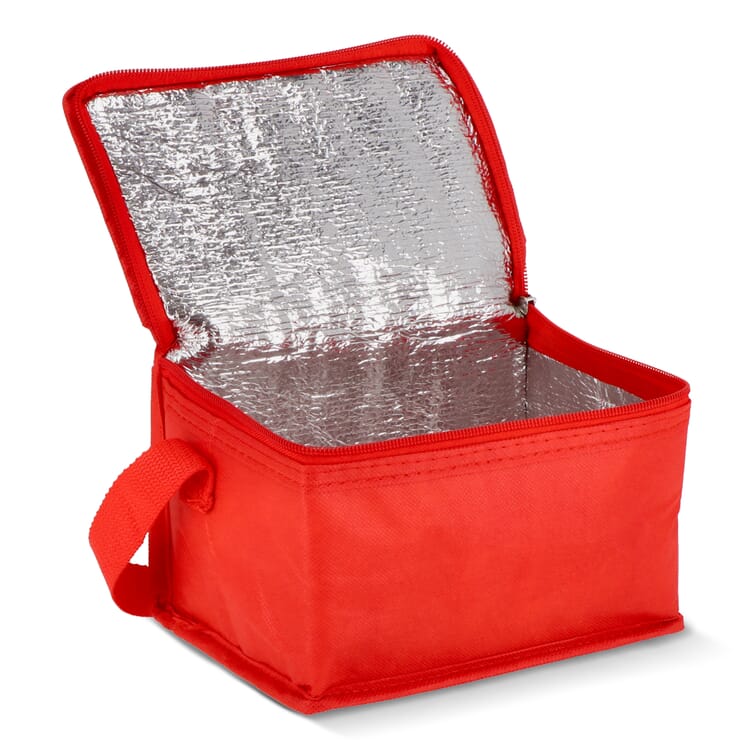 R-PET 6 Dosen-Kühltasche Non Woven 20x 13 x 12,5cm 75g/m²