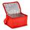 R-PET 6 Dosen-Kühltasche Non Woven 20x 13 x 12,5cm 75g/m²