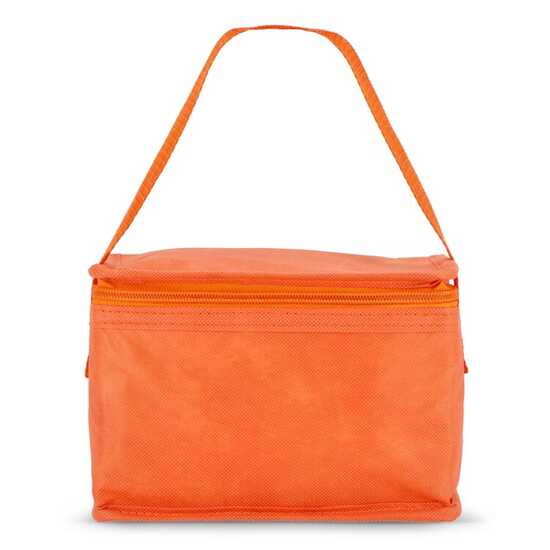 R-PET 6 Dosen-Kühltasche Non Woven 20x 13 x 12,5cm 75g/m²
