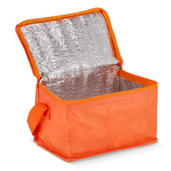 R-PET 6 Dosen-Kühltasche Non Woven 20x 13 x 12,5cm 75g/m²