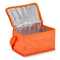 R-PET 6 Dosen-Kühltasche Non Woven 20x 13 x 12,5cm 75g/m²