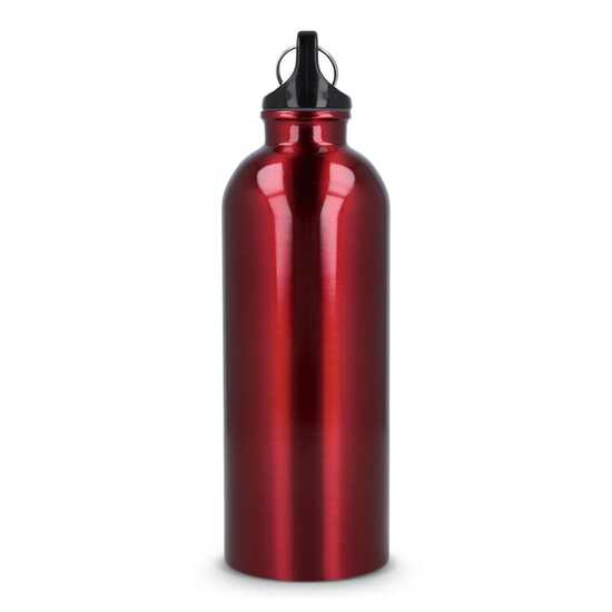 R-Edelstahl einwandige Flasche mit Karabiner 500 ml