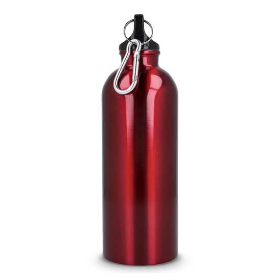 R-Edelstahl einwandige Flasche mit Karabiner 500 ml