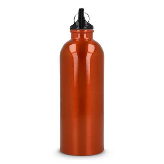 R-Edelstahl einwandige Flasche mit Karabiner 500 ml