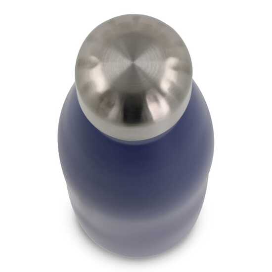 Flasche Swing 500ml