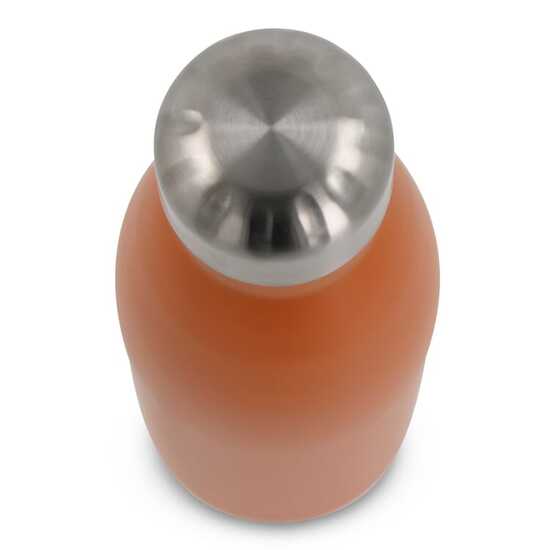 Flasche Swing 500ml