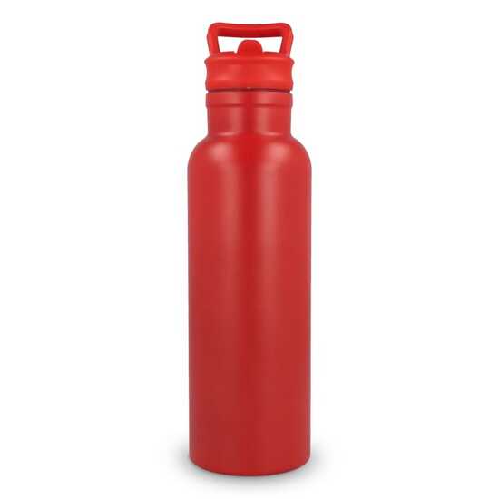 Dario Isolierflasche 500 ml