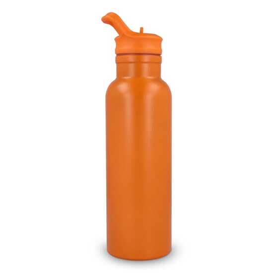 Dario Isolierflasche 500 ml