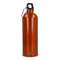 R-Edelstahl einwandige Flasche mit Karabiner 750ml