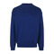 PRO Wear Sweatshirt | klassisch