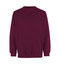 Sweatshirt | klassisch