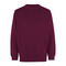 Sweatshirt | klassisch