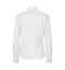 SEVEN SEAS Oxford | slim