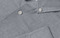 SEVEN SEAS Fine Twill Cadet | modern | Damen