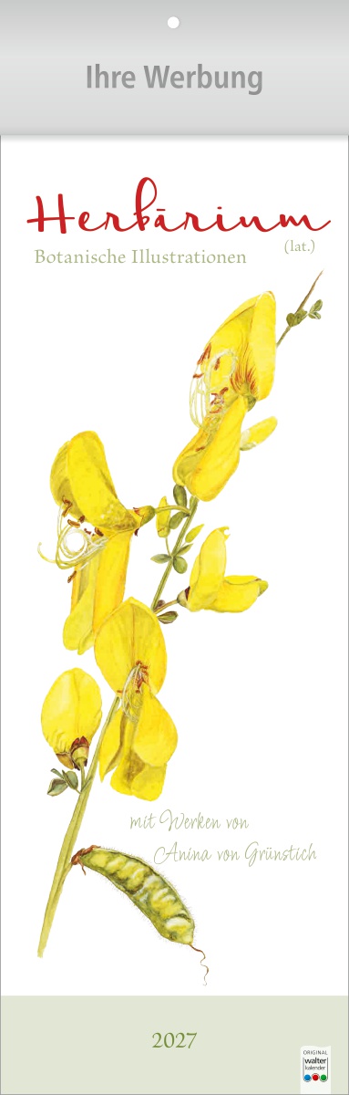 Herbarium - Botanische Illustrationen