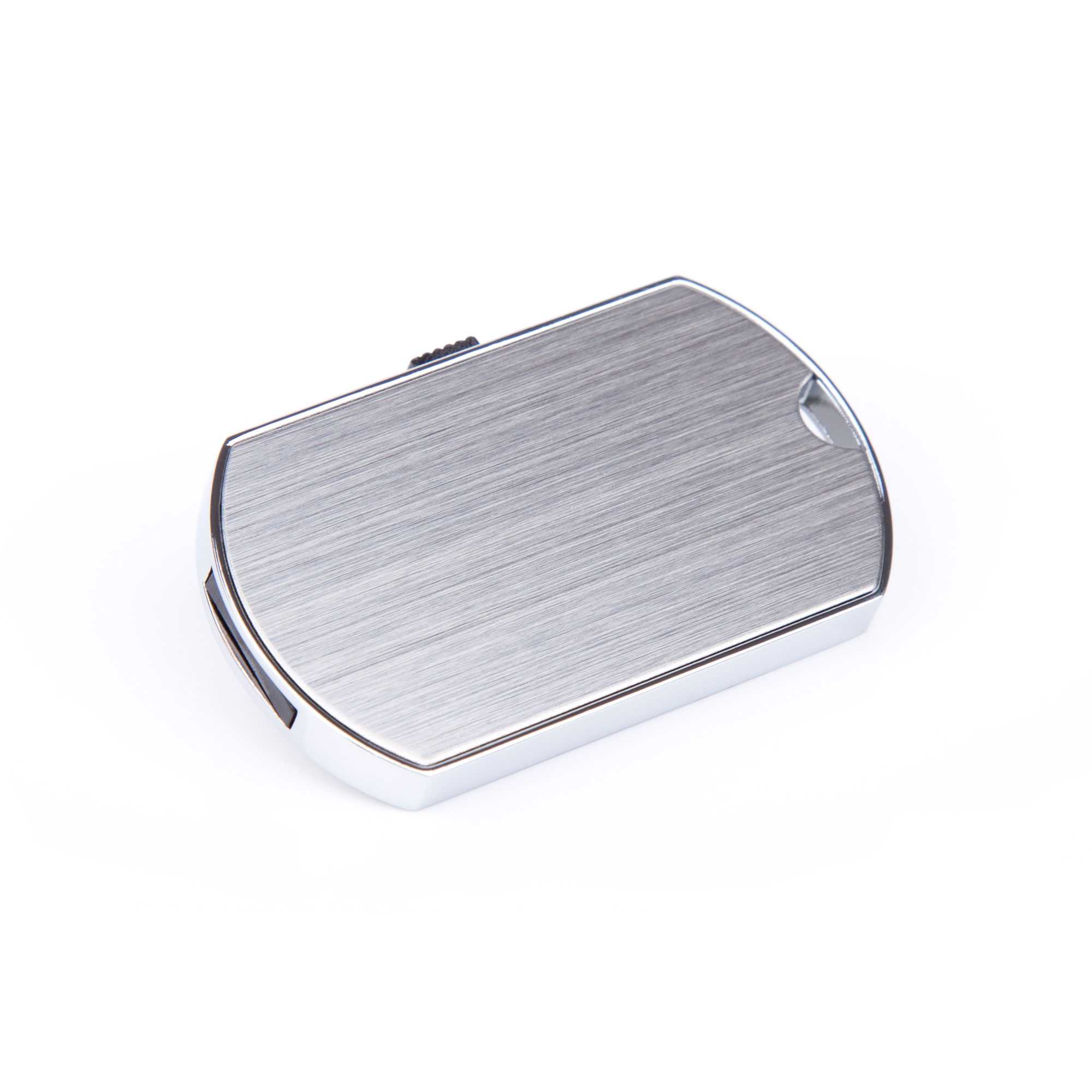 USB Stick Hundemarke