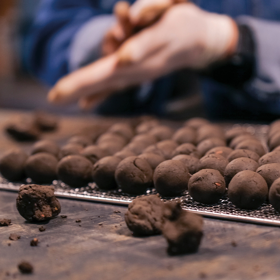 10er Samenkugeln Koro