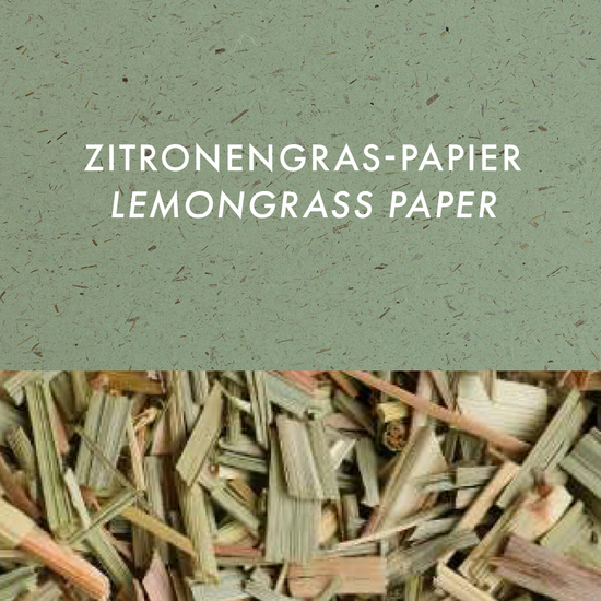 Samenbriefchen 2nd Matter Rena