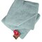 ARB032 Babiezz® Hooded Towel