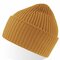 AT100 Oak Beanie