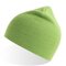 AT102 Holly Beanie