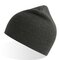 AT102 Holly Beanie
