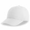 AT113 Recy Six Cap