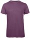 BCTM055 Triblend T-Shirt /Men