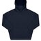 Influence Hoodie