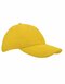 Heavy Brushed Cap