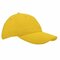 Heavy Brushed Cap