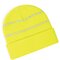 Enhanced-Viz Beanie