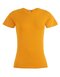 Women`s Premium-T