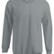 New Men`s Sweater 100