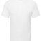 Pure Cotton T