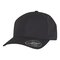 Delta Snapback