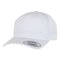 YP Classics 5 Panel Snapback