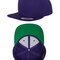 Classic Snapback