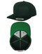 Classic Snapback