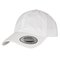 Ecowash Dad Cap