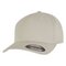Flexfit 5 Panel Cap