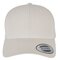 Curved Classic Snapback