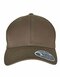 FX7706FF Flexfit 110 Curved Visor Snapback